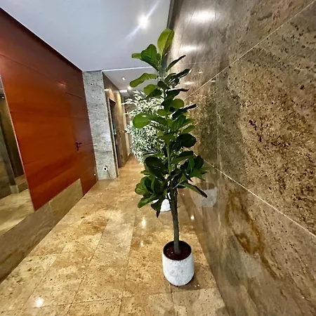 Appartement 1 C Ccc *